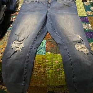 Torrid Distressed Jeggings